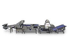 Sortivator line for fresh-pack blueberries from WECO