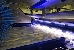 Key Technology's ADR X automatic defect removal system for potato strips